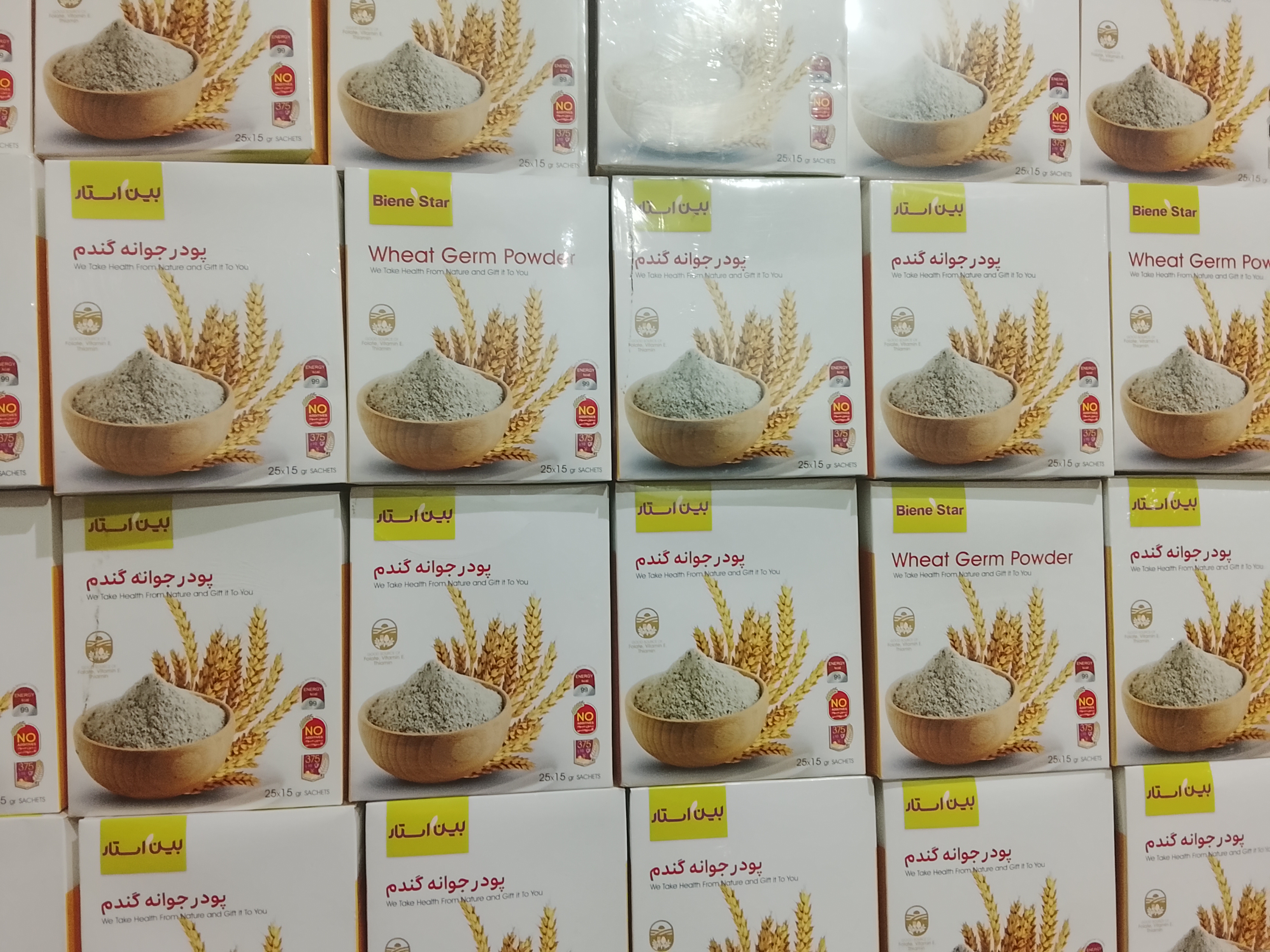 جوانه گندم